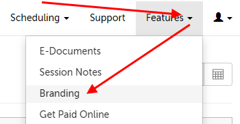 Branding option in the Features menu