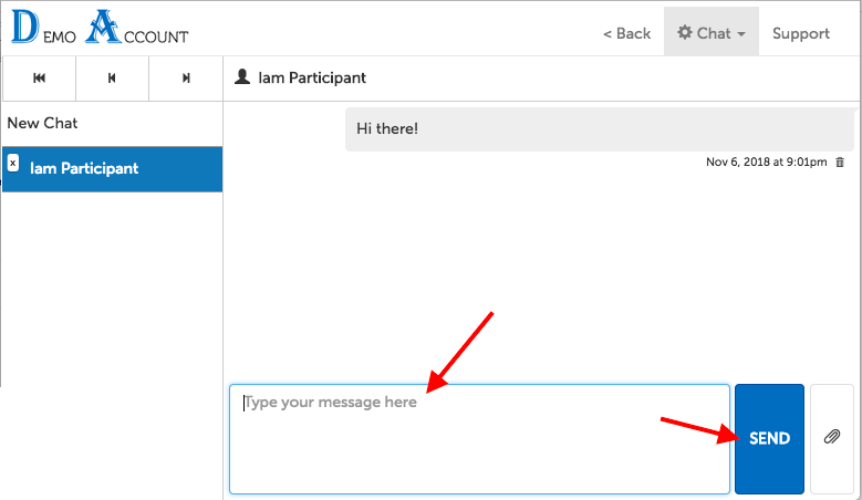 Example of chat window, with arrows pointing to the text input field and "Send" button