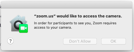 "zoom.us" would like to access the camera"